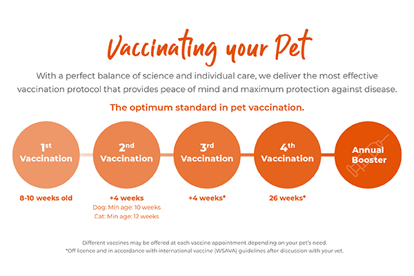 vaccination infographic final