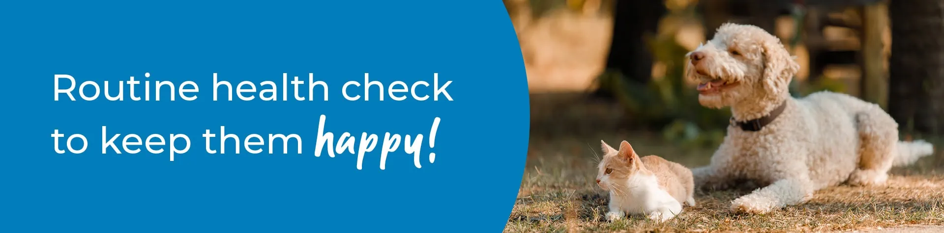 Pet Health Check in West Yorkshire | Preventative Vet Care