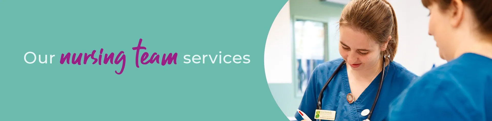 Veterinary Nurse Clinics