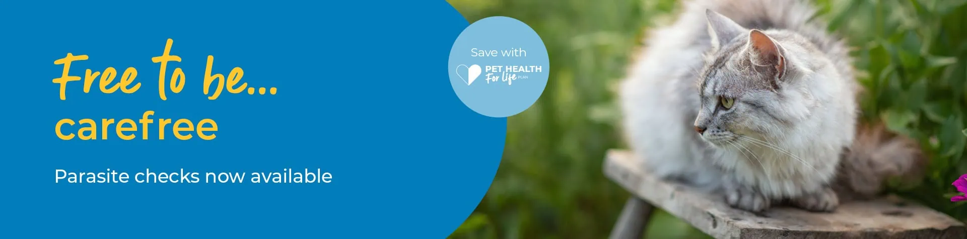 Tick, Flea, and Worm Prevention for Dogs