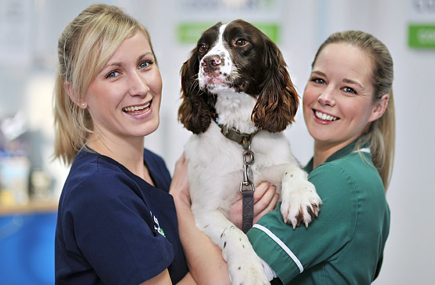 Your hospitalised pets are always well looked after by our staff
